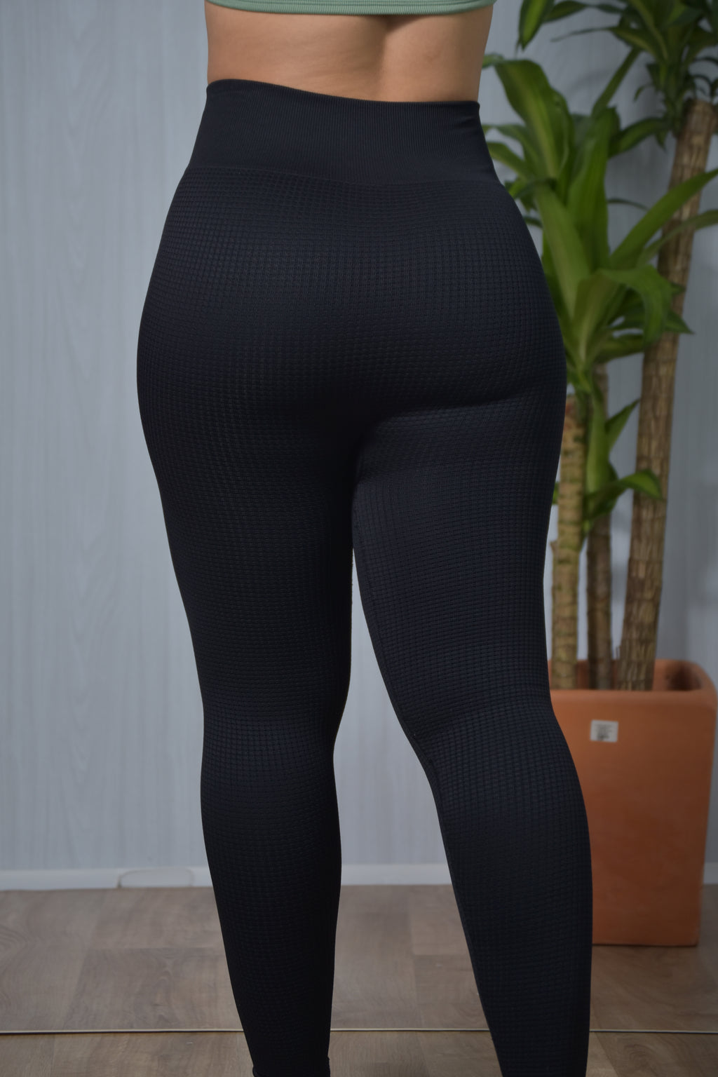 Leggins  tela  galleta seamless
