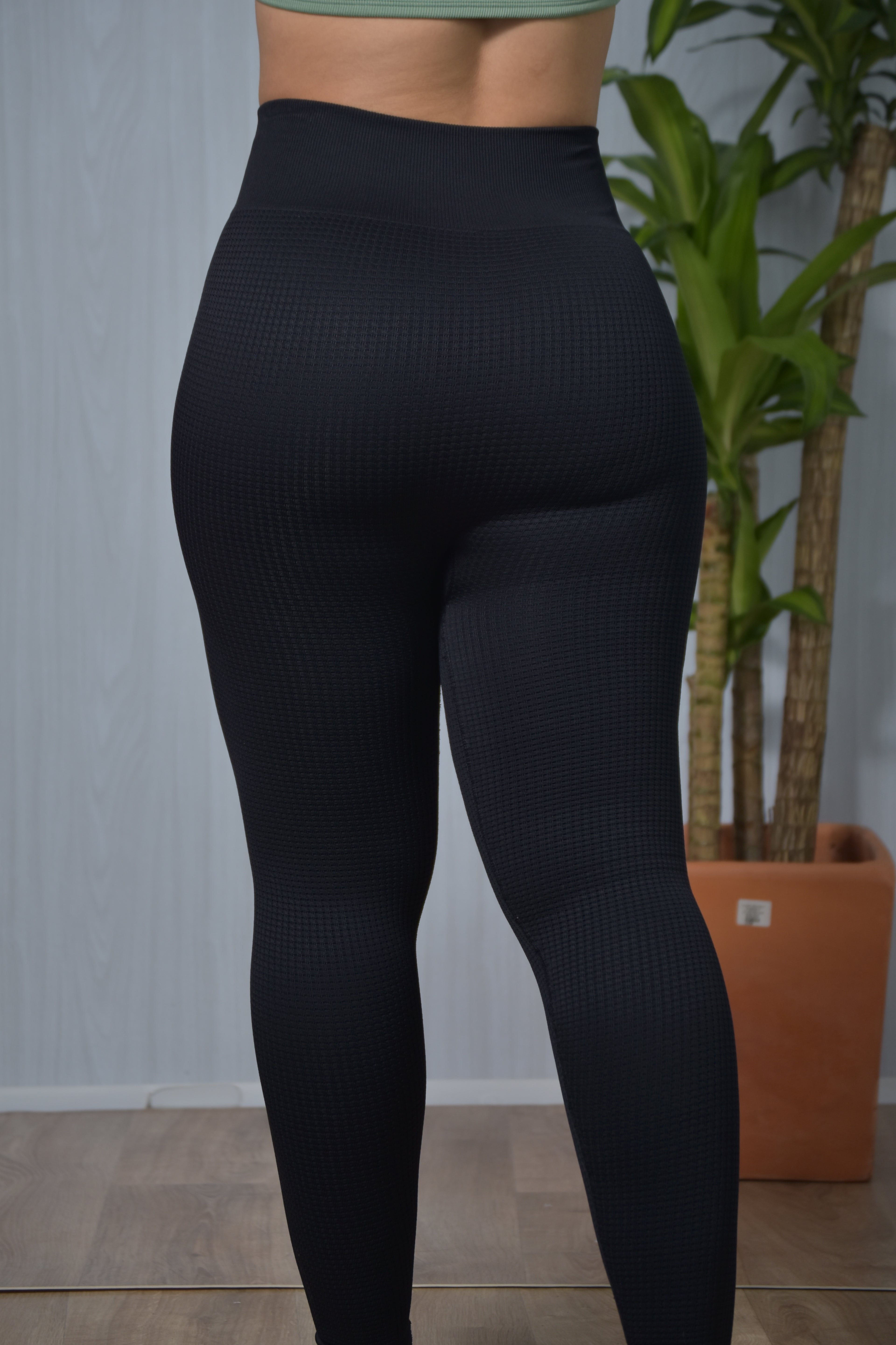 Leggins  tela  galleta seamless